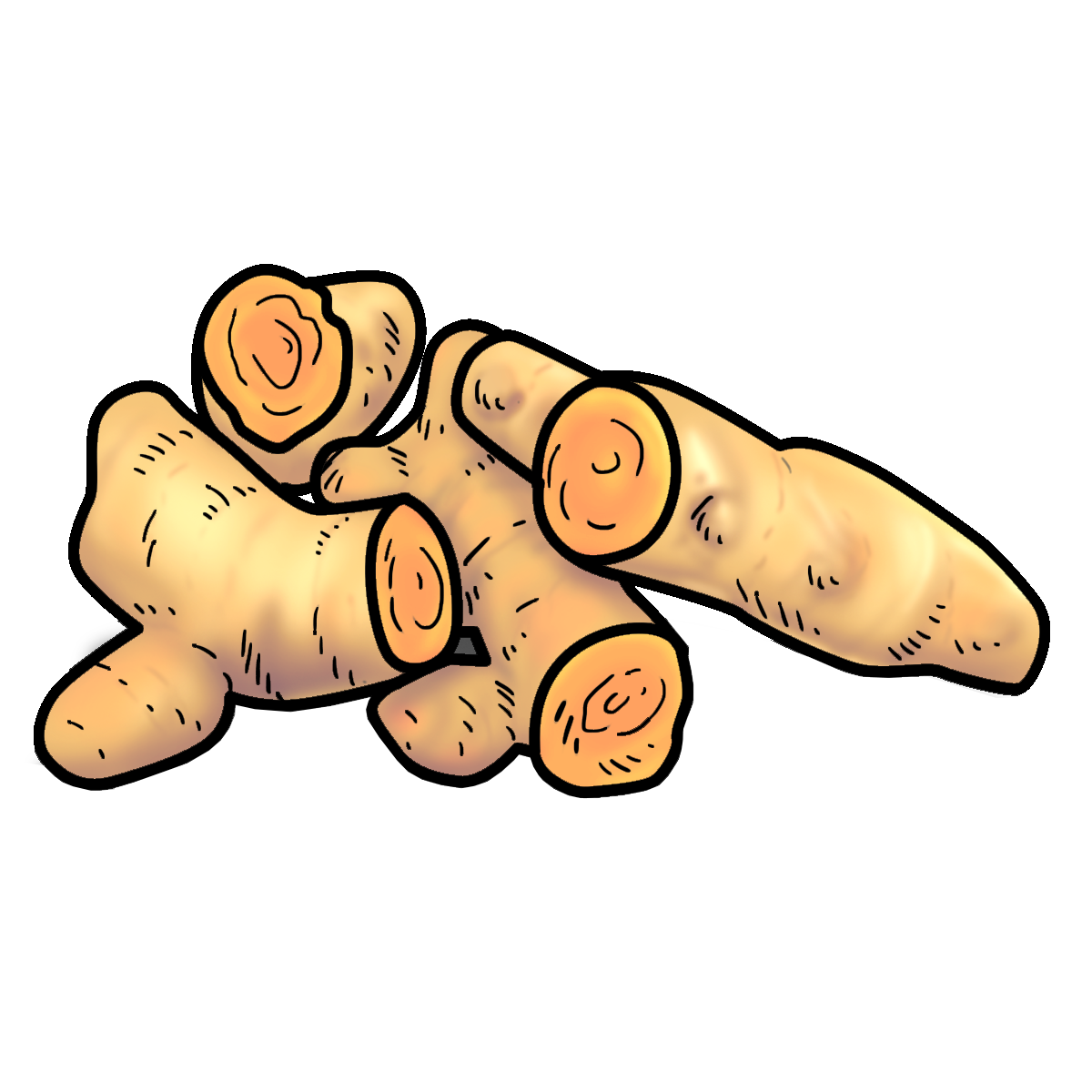 Curcuma