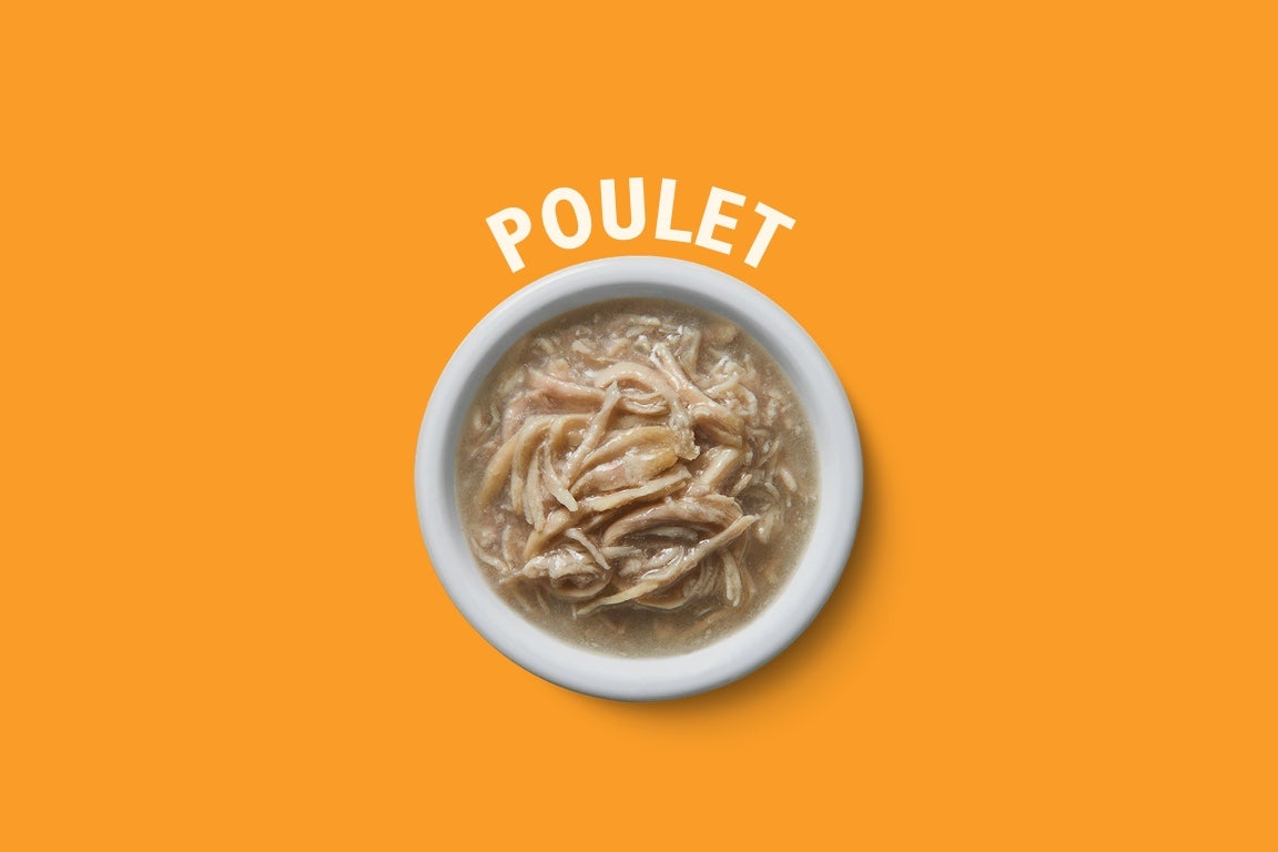 poulet