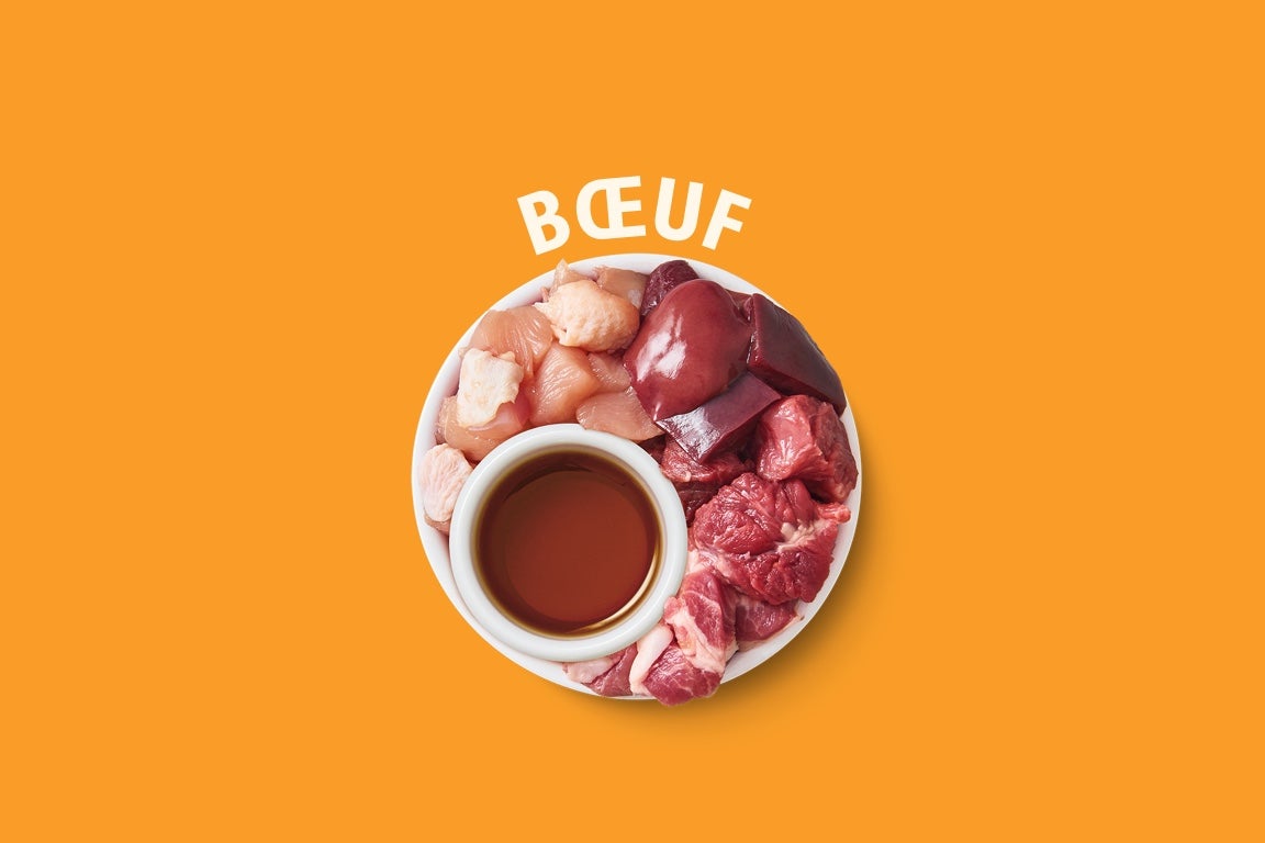 boeuf