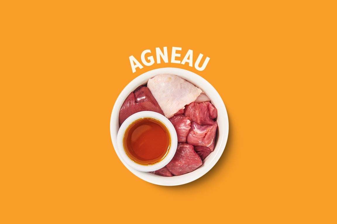 agneau