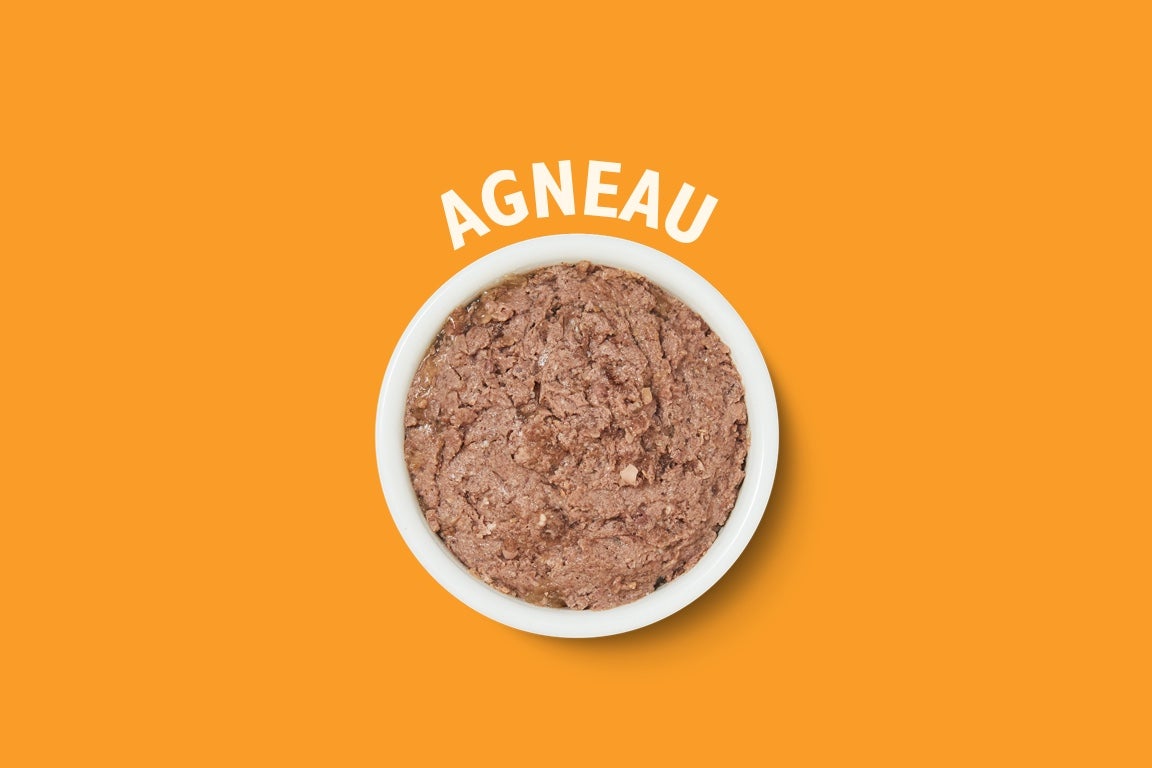 agneau