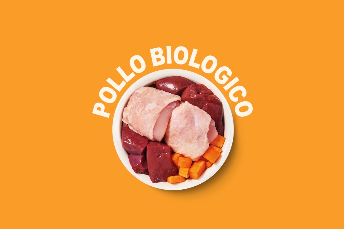 Multipack di paté biologici