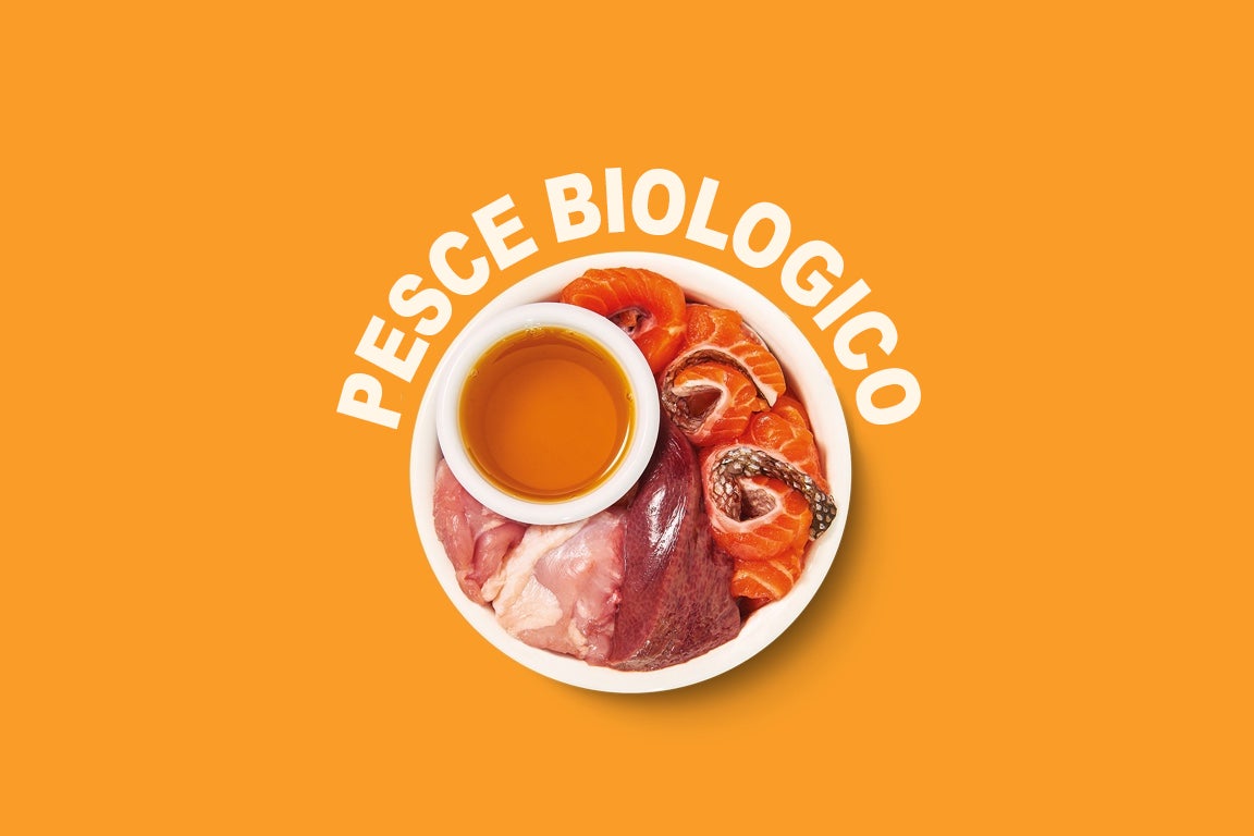 Multipack di paté biologici