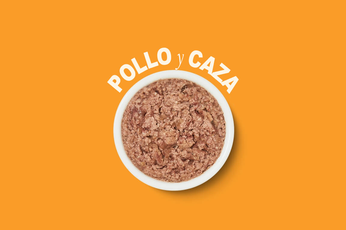 Pollo y caza