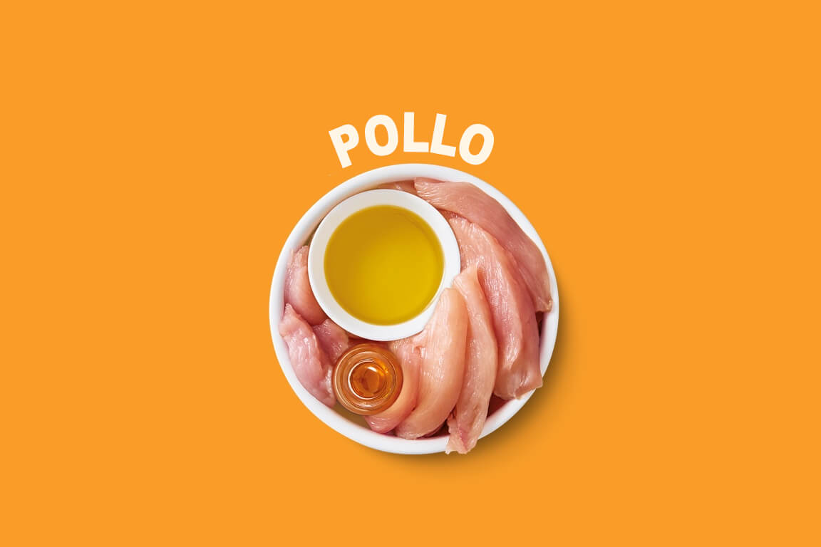 Pollo