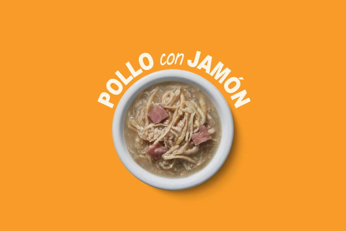 Pollo con jamón