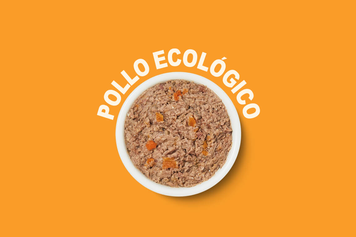 pollo ecológico